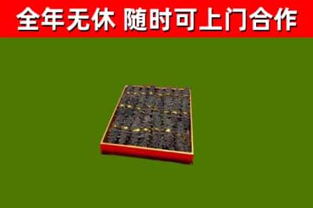武平回收海参